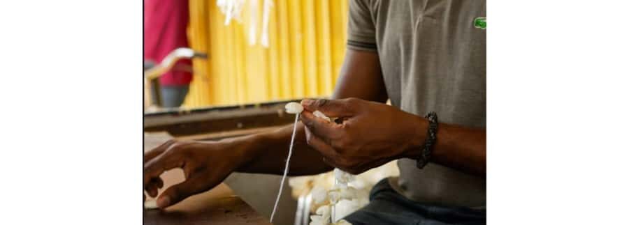 Jaffna: Garland Making and Temple Visit with Guide - Introduction to the Jaffna Garland and Temple Tour