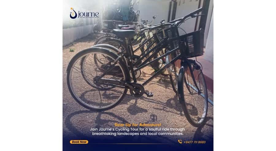 Jaffna: Private City Cycling Experience - What To Expect: Practical Details