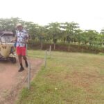 Jaffna: Private Guided Tour of the City by Tuk-Tuk - The Sum Up