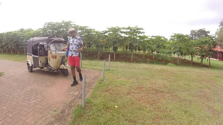 Jaffna: Private Guided Tour of the City by Tuk-Tuk - The Sum Up