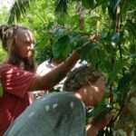 Jaffna: Tamil Farming Experience with Local Farmers - Practical Details and Tips