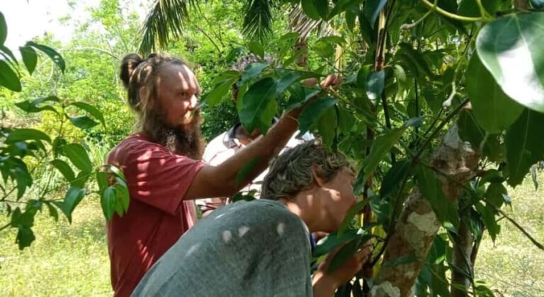 Jaffna: Tamil Farming Experience with Local Farmers - Practical Details and Tips