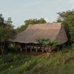 Jahoo: Gibbon Tracking Walk in Keo Seima Wildlife Sanctuary - In-Depth Look at the Gibbon Tracking Experience