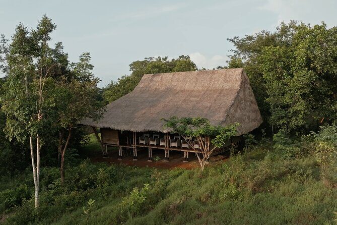 Jahoo: Gibbon Tracking Walk in Keo Seima Wildlife Sanctuary - In-Depth Look at the Gibbon Tracking Experience