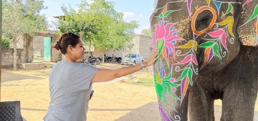 Jaipur Elephant Village: All Activity in Village with Pickup - Who Will Love This Tour?