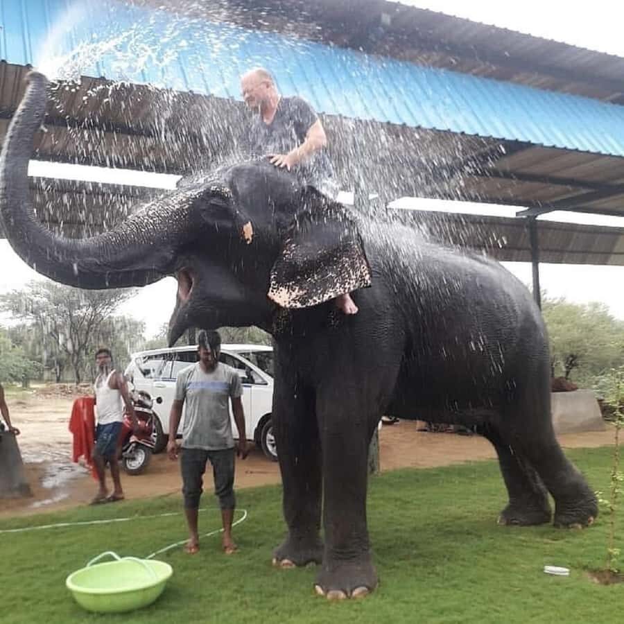 Jaipur: Hathigao Elephant Village Ride, Feeding, & Photos - Who Will Love This Tour?