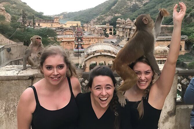 Jaipur Heritage Tour with Monkey Temple & Nahargarh Sunset - Final Thoughts: Is This Tour Worth It?