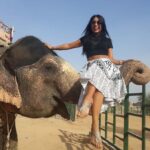 Jaipur: Interactive Elephant Experience Feed, Paint & Ride - Exploring the Elephant Village: What to Expect
