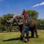 Jaipur: Night Tuk Tuk Tour with English Speaking Driver - What to Expect on the Jaipur Night Tuk Tuk Tour