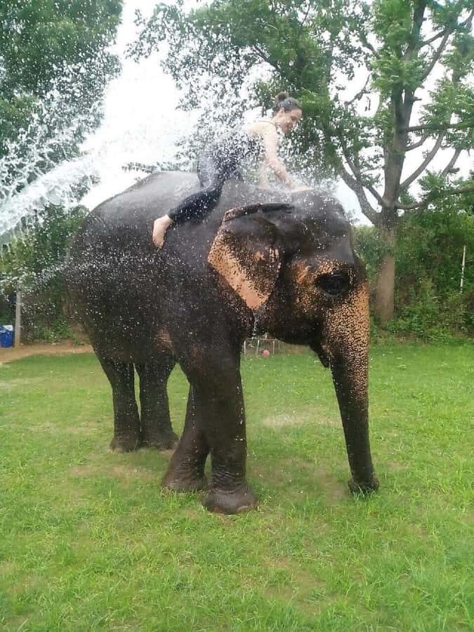 Jaipur: Private Jaipur Trip with Elephant Village Attraction - Transport, Duration, and Value