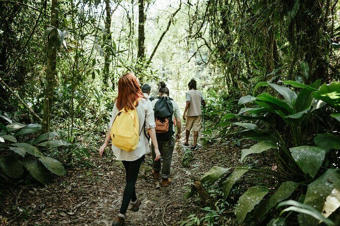 Jakarta Rainforest Hiking to Hidden Waterfall & Suspension Bridge - Breaking Down the Itinerary