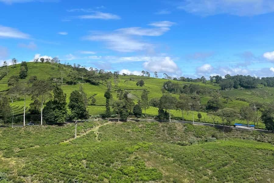 Jakarta: Volcano, Suspension Bridge and Hot Spring - Who This Tour Is Best For