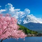 JAPAN: 5 Days Tokyo, Mt Fuji, Nikko, Nagano & Kamakura Tour - Transportation and Logistics