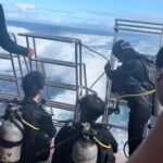 Japan: 7-Day Tour of Tokyo, Osaka, Kyoto & Hiroshima - Tokyo: The City of Contrasts and Lights