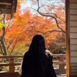 Japan: Travel Vlog: Self-Shoot Guide & Video Editing Service - Why This Experience Offers Great Value