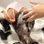 Japanese Head Onsen and Scalp Massage Retreat in Tokyo - The Experience Itself: What Should You Expect?