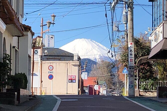 Japanese Sake Breweries Tour in the Countryside of Kanagawa - Final Thoughts