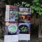 Japanese Tea Ceremony - Practical Details and Tips