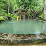 Jatiluwih Nature and Wellness Day Tour - Final Thoughts: Who Will Love This Tour?