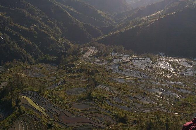 Jatiluwih UNESCO site and Ulundanu - Practical Details and What You Can Expect