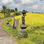 Jatiluwih's Rice Field Terraces: A Scenic Self-Guided Audio Tour - The Authentic Experience That Sets It Apart