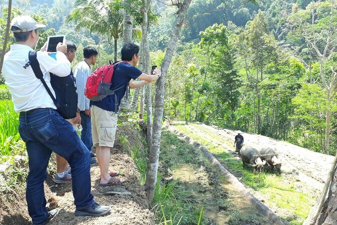 Java Village and Temple Tour from Borobudur - What to Expect During the Tour
