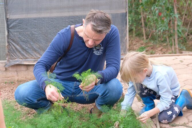 Jeep Experience Pure Vietnamese Agriculture Tour - Transportation, Duration, and Group Size