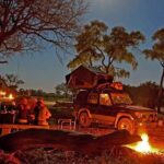 Jeep Safari Experience at Ranthambore National Park from Jaipur - What’s Included and What’s Not