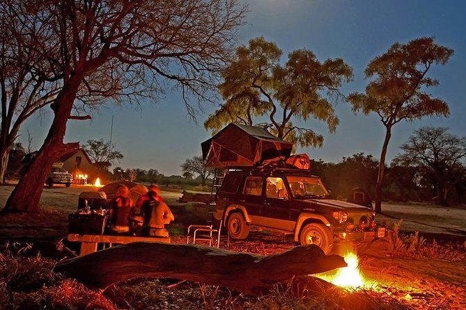 Jeep Safari Experience at Ranthambore National Park from Jaipur - What’s Included and What’s Not