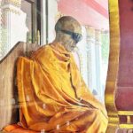 Jeep Tour Koh Samui Jungle Safari Full Day Adventure - A Deep Dive into the Koh Samui Jungle Safari