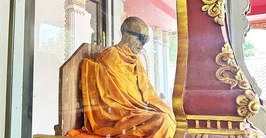 Jeep Tour Koh Samui Jungle Safari Full Day Adventure - A Deep Dive into the Koh Samui Jungle Safari