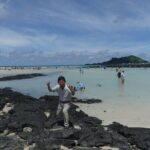 Jeju airport start & west tour & drop off in seogwipo(Jeju city) - The Experience in Detail: What You Can Expect