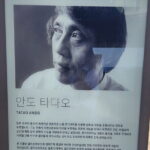Jeju Art & Culture Tour: Bonte Museum- Tadao Ando, Arte Museum - Practical Details and Value
