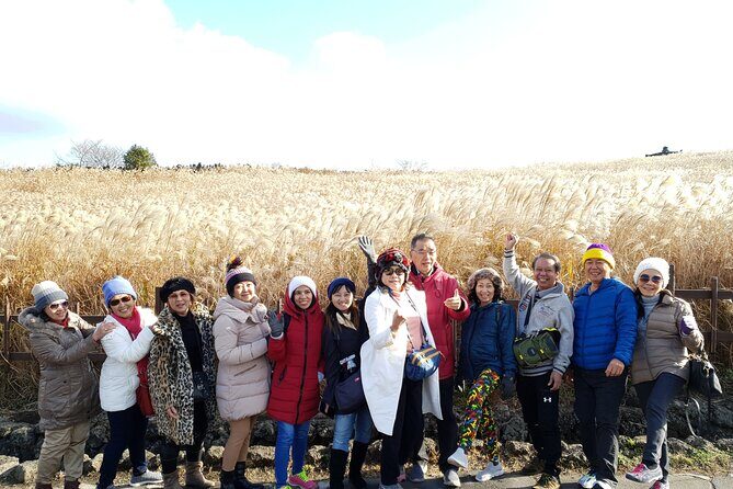 Jeju bus tour with professional English guide for cruise customer - What’s Included and What’s Not?