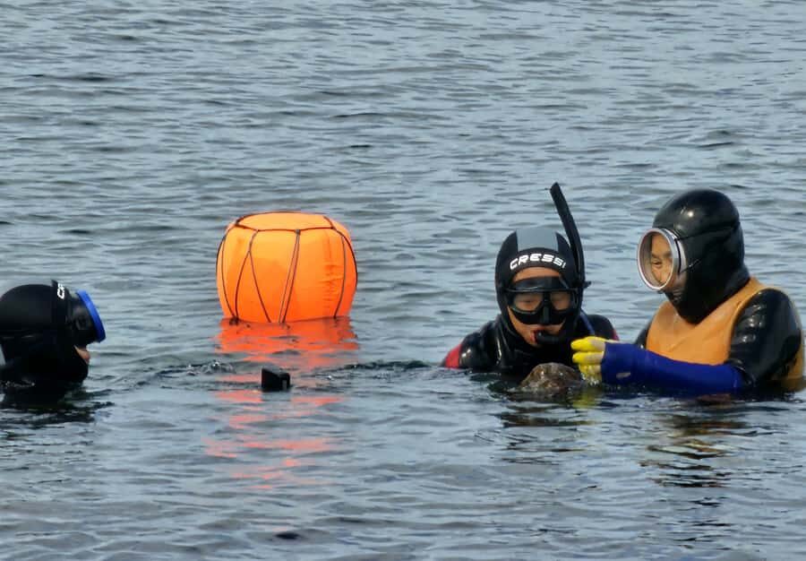Jeju: Haenyeo Culture Experience with Seafood Tasting - Hamdeok Beach: A Picturesque Photo Stop