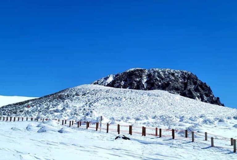 Jeju: HALLASAN National Park Guided Snow Climb (5hr_w/Gear) - Practical Details and What You Need to Know