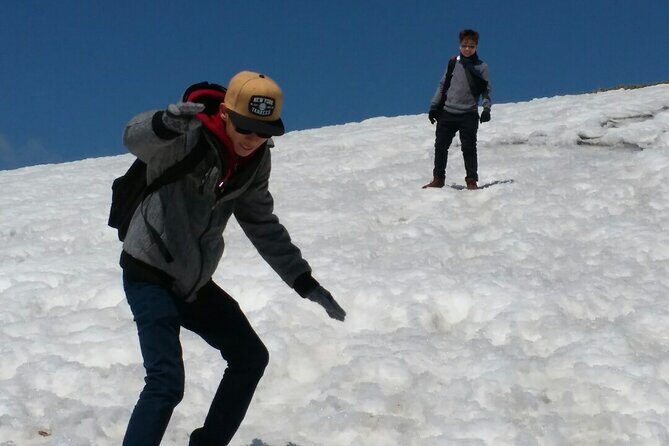 jeju island Private Taxi Hallasan Hiking Trail Transfer - One way - Final Thoughts: Is This Tour Right for You?