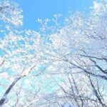 jeju island private taxi tour-West & South of JEJU - FAQs