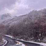 Jeju Island Snow Flower Tracking and Private Sledding Adventure - Practical Details and Tips