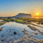 Jeju Private Car Charter Tour - The Practicalities