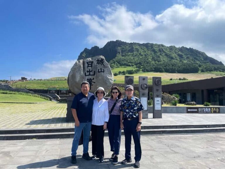 Jeju: Private Car Charter Tour for Cruise Passengers - Who Is This Tour Best For?