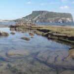 Jeju Private Half-Day Tour - UNESCO SITE Seongsan illchulbong - Who Should Consider This Tour?