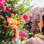 Jeju: UNESCO Heritage Sites Authentic Day Tour(Western) - An In-Depth Look at the Jeju UNESCO Heritage Day Tour