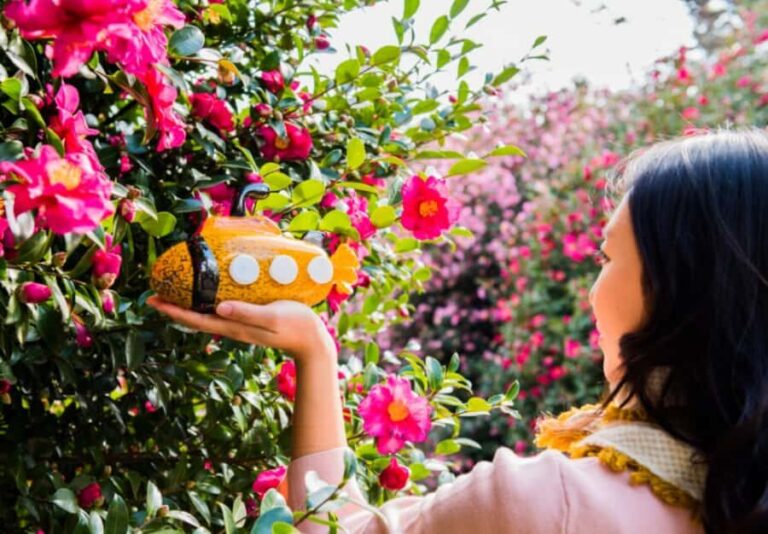 Jeju: UNESCO Heritage Sites Authentic Day Tour(Western) - An In-Depth Look at the Jeju UNESCO Heritage Day Tour