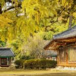 Jeonju Hanok Village and Arboretum with Seasonal Flower festival - The Value of This Tour