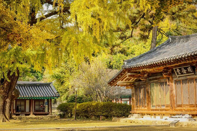 Jeonju Hanok Village and Arboretum with Seasonal Flower festival - The Value of This Tour