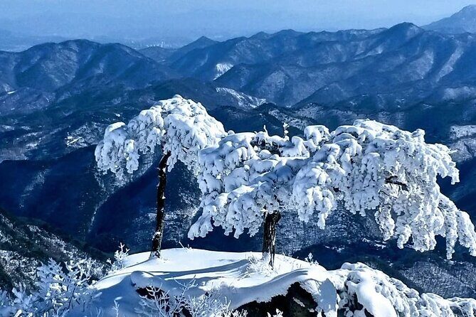 Jeonju Hanok Village and Daedunsan Serenity Nature Tour - Authentic Insights from Travelers