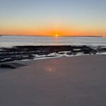 Jervis Bay and Shoalhaven South Coast NSW Private Tours - Authentic Insights from Reviews