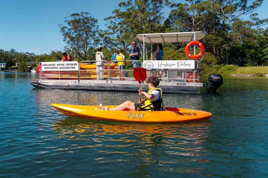Jervis Bay: Currambene Creek Kayak Tour with Guide - Practical Details: What You Need to Know