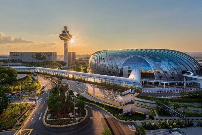 Jewel Changi Airport: Canopy Park Admission Ticket - Authentic Traveler Insights